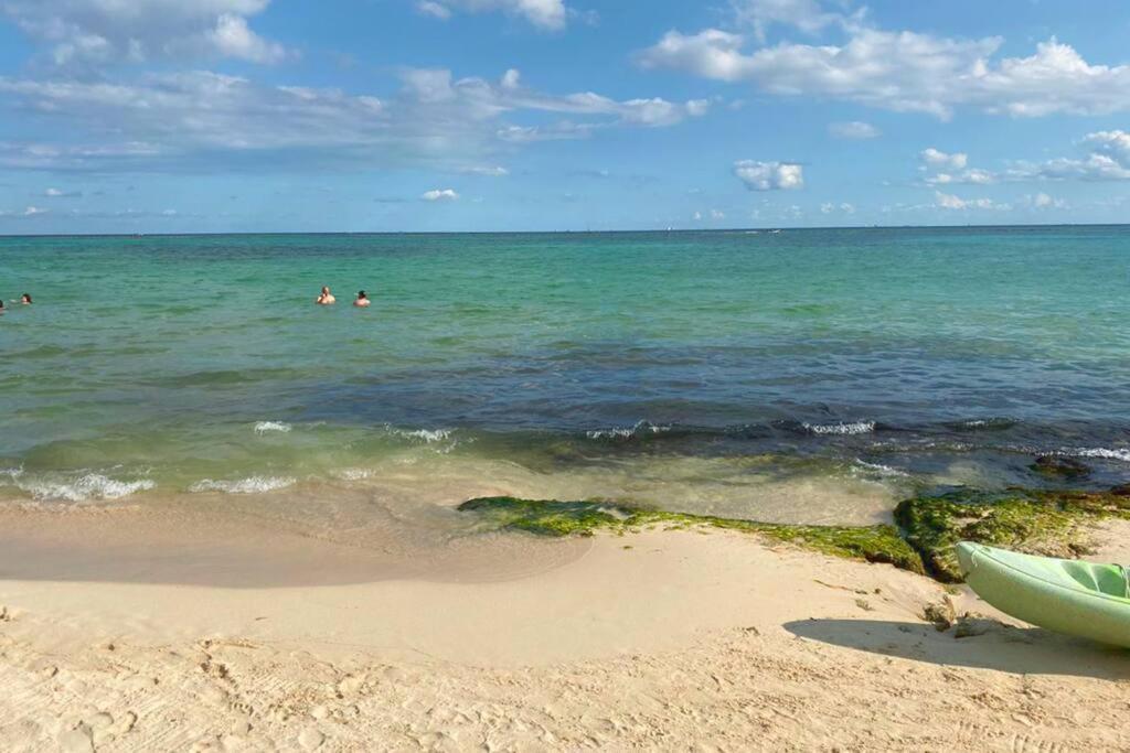 Apartamento Downtown With Rooftop Pool - Walk To 5th Ave & The Playa del Carmen